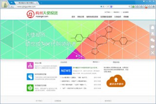 梅州天使投资有限公司